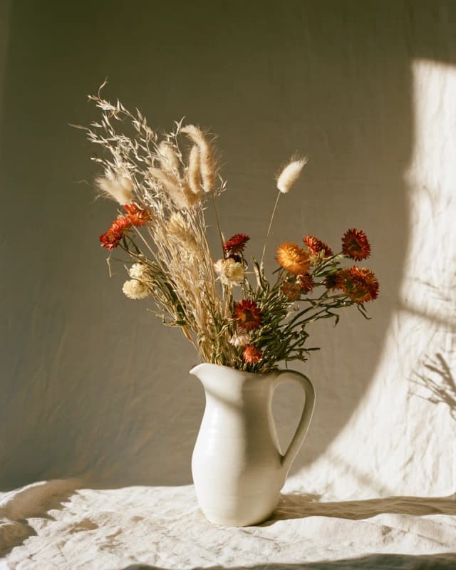 Dried Meadow